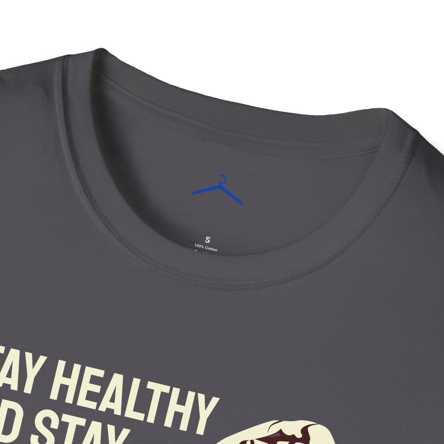 STAY HEALTHY AND STAY STRONG Fitness T-Shirt